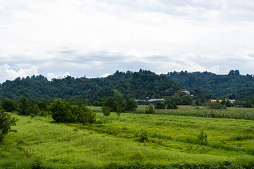 Obraz premium Rural summer landscape in Georgia