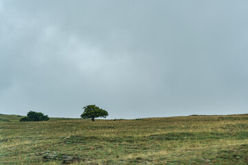 Rural summer landscape in Georgia