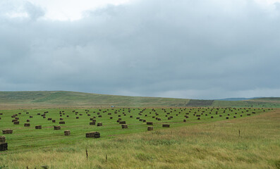 Obraz premium Rural summer landscape in Georgia