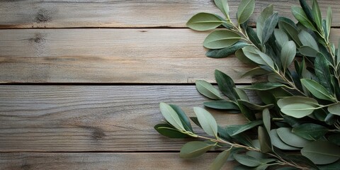 Obraz premium Olive branch with lush green leaves artfully arranged on a rustic wooden background with warm brown tones filling the space on the left.