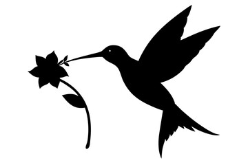 hummingbird and flower