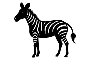zebra vector illustration