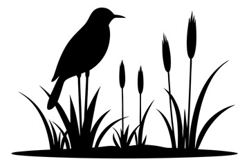 silhouette of a bird on a branch