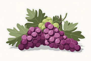 Bunch of purple grapes with green leaves