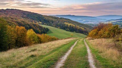 Fototapeta premium A quiet trail through a forested mountain slope, glowing softly under the early morning sky