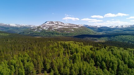 Obraz premium Mountain Forest Landscape in Summer