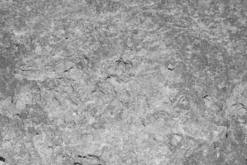 Stone Photo Material Texture