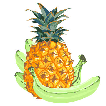 pineapple and bananas fruit still life clip art preview
