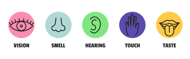 Minimal sence icons. Eye nose ear hand tongue sensation sign. Vector sensory simple sign