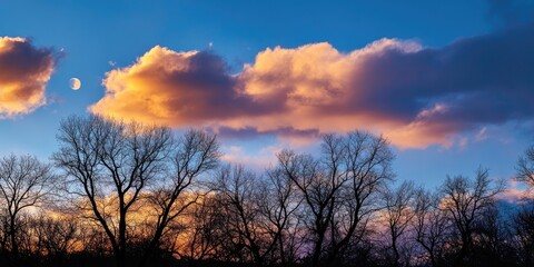 Obraz premium Silhouette of bare trees against a vibrant blue sky with a crescent moon and orange clouds during sunset creating a serene landscape scene
