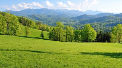 Obraz premium Serene Green Mountain Valley