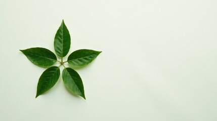 Fototapeta premium Five Vivid Green Leaves Arranged in a Starburst Pattern on a Pale Green Background, a Simple Botanical Illustration, Perfect for Nature-Themed Designs