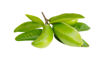 green madan sour tropical fruits with green leaves