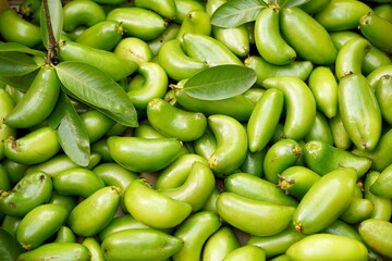 green madan sour tropical fruits 