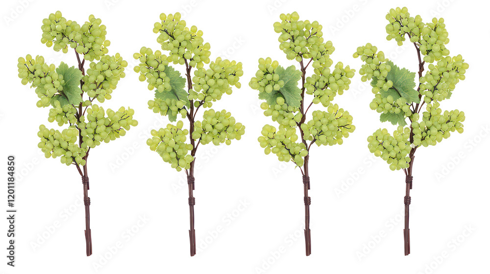 Poster ivy grape bush branches arranged on clear background generative ai