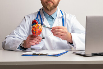 Cardiologist shows the structure and anatomy of human heart