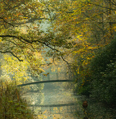 autumn river with trees and bridge