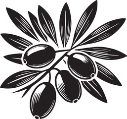 Black Color Olive Silhouette Vector Illustration, Solid White Background