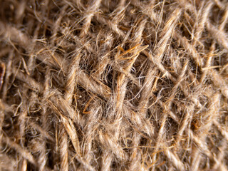 A close up of a fuzzy brown object with a lot of hair