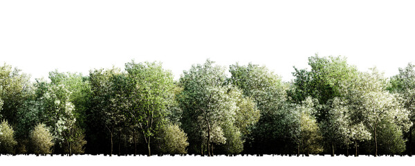 Isolated green tree line with lush foliage on transparent background
