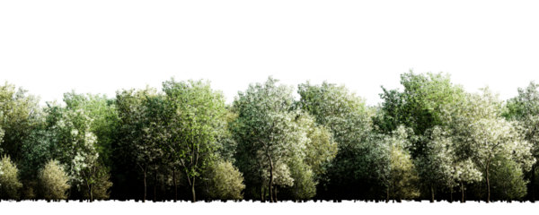 Isolated green tree line with lush foliage on transparent background