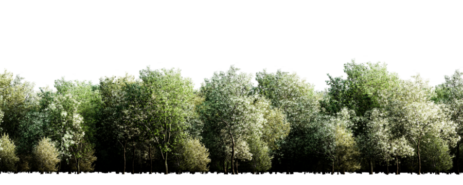 Isolated green tree line with lush foliage on transparent background