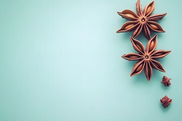 Star anise on blue background with copy space