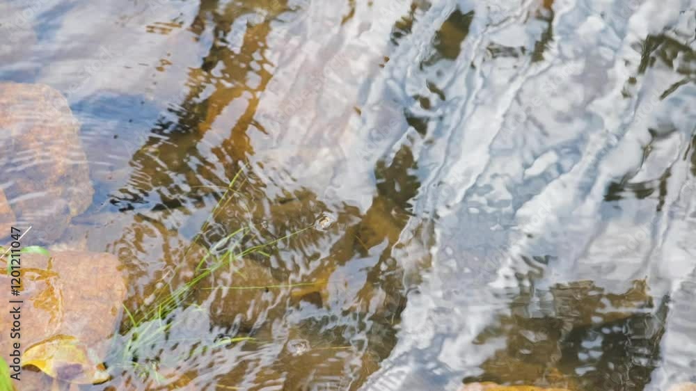 Poster close-up view of clear water ripples in slow motion flowing over submerged rocks with reflections, c