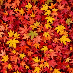 background from autumn leaves