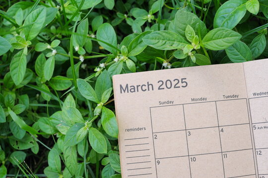 March 2025  calendar on lush green grass leaves background. Spring 2025.