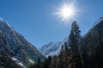 Dombay. Karachay-Cherkessia. Giant rocks with snow-capped peaks and glaciers rise majestically against  blue autumn sky. Pine and spruce forests grow at foot of the mountains. Sunny day. Autumn 2024