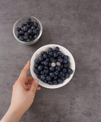 blueberry fruit
생블루베리