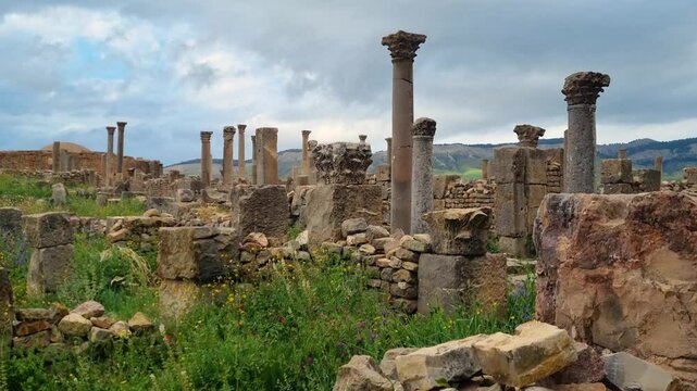Revealing shot of ancient Roman ruins and weathered columns surrounded by lush green vegetation under an overcast sky at the historic site of Djemila in Algeria