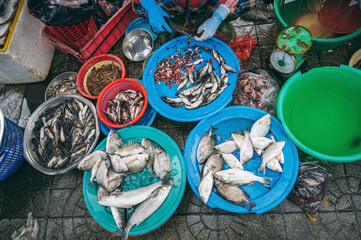 A variety of Fresh fish at the local Asian market in Nha Trang, Vietnam.