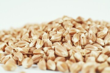 A heap of oats resting on a tabletop, potentially used as a prop or setting for food-related scenes