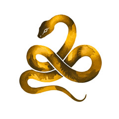 watercolor Golden Snake Pattern, 2025 Year of the Snake Decoration, 12 Zodiac Signs of the Snake, Chinese Year of the Snake, New Year, Lunar New Year