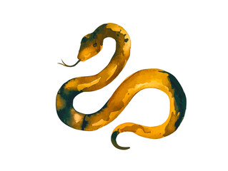 watercolor Golden Snake Pattern, 2025 Year of the Snake Decoration, 12 Zodiac Signs of the Snake, Chinese Year of the Snake, New Year, Lunar New Year