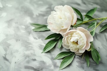 Fototapeta premium Fresh white peonies with green leaves on a wooden table
