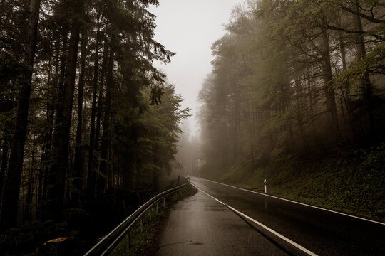 Foggy road