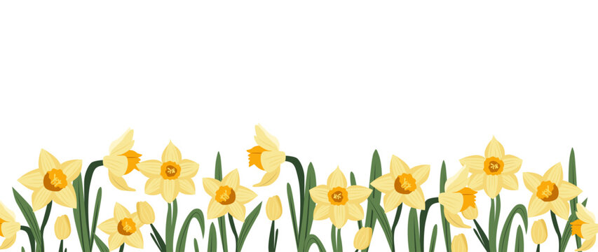 Floral border isolated on white background. Cute horizontal spring banner with daffodils. Hand Drawing vector illustration.