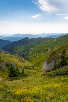 A Green Rocky Meadow With Pine Trees, Forest And Blue Sky In The Background