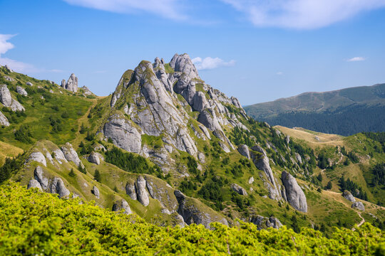 Rocky Mountain Covered With Green Grass And Pine Trees, Green Blurry Bushes In The Foreground, Blue Sky With Clouds In The Background