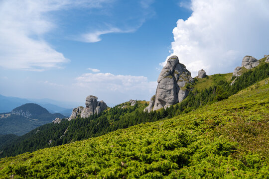 Towering Rock Formations On A Green Hill, Pine Forest And Blue Sky With Clouds In The Background, Green Blurry Bushes In The Foreground