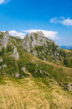 Rock Formations On A Hill Covered With Green Grass And Pine Trees, Blue Sky With Clouds In The Background, Golden Grass In The Foreground