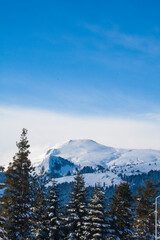 Snowy winter road in a mountain forest. A beautiful winter landscape.