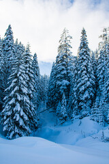 Snowy winter road in a mountain forest. A beautiful winter landscape.