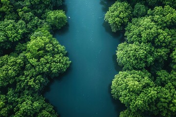 Aerial view of lush green trees surrounding a deep blue river.