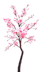pink cherry blossom tree isolated on transparent background blooming tree in spring png, Dynamic motion, with white tones