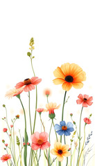 Beautiful floral set with watercolor hand drawn summer wild field flowers. Stock illustration. Clip art, origami, with white tones