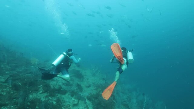 Scuba Divers diving in a coral reef off Havelock Island (Andaman and Nicobar Islands, India)